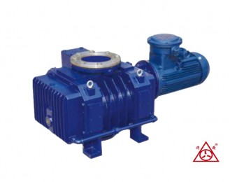 河南JZJFS系列羅茨-耐腐蝕液環真空機組